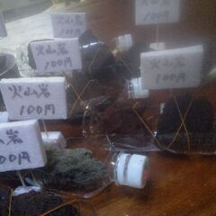 ボトル入り火山岩12ボトル追加品出ししました。の画像