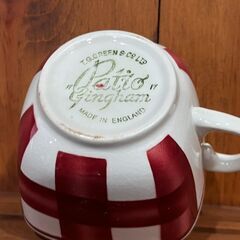 【愛品館 市原店】ティージーグリーン｜パティオギンガム　カップ＆ソーサーの画像