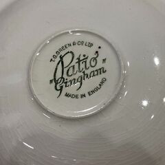 【愛品館 市原店】ティージーグリーン｜パティオギンガム　カップ＆ソーサーの画像