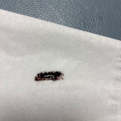 眉ティントの画像