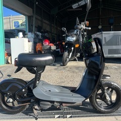 可愛いバイク❗️ スズキ　チョイノリ　CZ41A 50cc 原付　バスケット付の画像