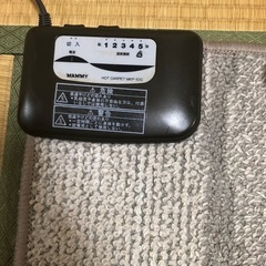 ホットカーペット　1畳サイズの画像