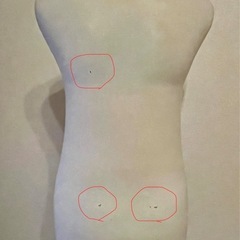 マネキン 110〜170cm 女性型 レディース トルソー 布張り 和装用 ※現金払い可能の画像