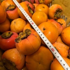 2️⃣かつらぎ町の富有柿80個以上。最終です。の画像
