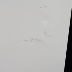 ★リユースのサカイ高崎店★TJ13571 SHARP 冷蔵庫 280L ２０20年製 動作確認／クリーニング済みの画像