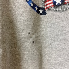 Harley-Davidsonイーグルスウェット　アメカジ古着の画像