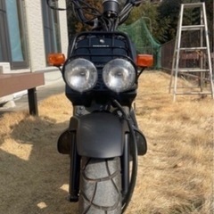 ホンダ ズーマー（インジェクション）の画像