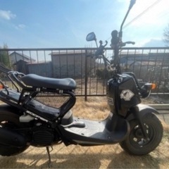 ホンダ ズーマー（インジェクション）の画像