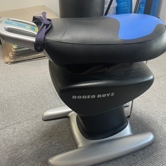 スライヴ 家庭用フィットネス機器 ロデオボーイIIの画像