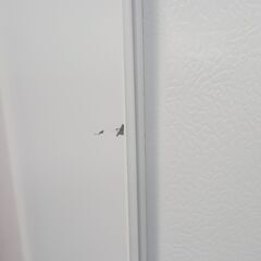 ★リユースのサカイ高崎店★TJ13573 TOSHIBA 冷蔵庫 153L ２０20年製 動作確認／クリーニング済みの画像