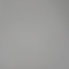 ★リユースのサカイ高崎店★TJ13574 SHARP 冷蔵庫 152L ２０21年製 動作確認／クリーニング済みの画像