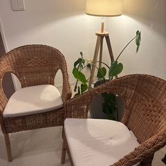 激レア IKEA AGEN アーゲン  2脚 チェア 椅子 クッション付きの画像