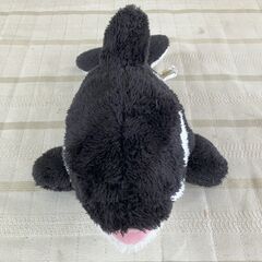 鴨川シーワールド購入ぬいぐるみ　シャチの画像
