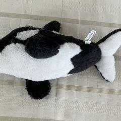 鴨川シーワールド購入ぬいぐるみ　シャチの画像