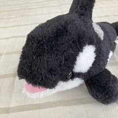 鴨川シーワールド購入ぬいぐるみ　シャチの画像