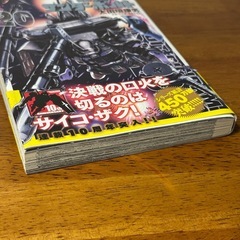 機動戦士ガンダム サンダーボルト 20の画像