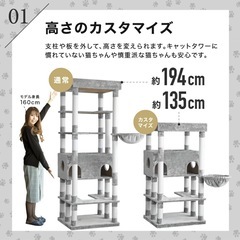 大型キャットタワー（カスタマイズ可能）の画像