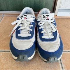 ナイキワッフルデビュースウッシュNIKE Waffle Debut Swooshの画像