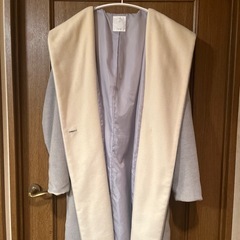 ViS コートの画像