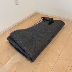 ホットカーペットの画像