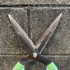 ★値下げ★【ハサミ】カーマPB 除草・剪定用ハサミ① 165mmの画像