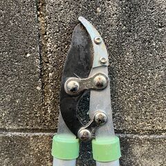 【太枝切ハサミ】カーマPB①の画像