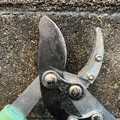 【太枝切ハサミ】カーマPB①の画像