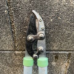 【太枝切ハサミ】カーマPB②の画像