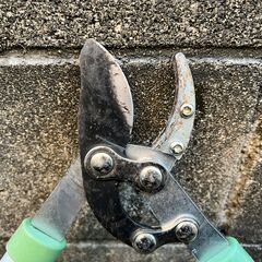 【太枝切ハサミ】カーマPB②の画像