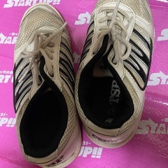 体育館シューズ　23.5 TSPの画像