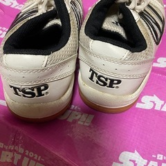 体育館シューズ　23.5 TSPの画像