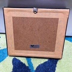 蝶の標本の画像