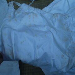 極真空手　道着6号　上下とカバー？　往年劣化シミ汚れあります。の画像