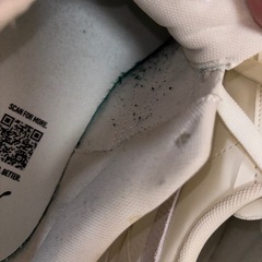 スニーカー（レディース）の画像