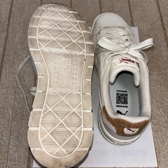 スニーカー（レディース）の画像