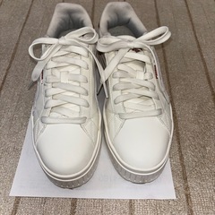 スニーカー（レディース）の画像