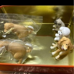 ふんばりーぬ2の画像