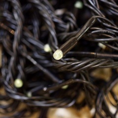 イルミネーション（グリーン）の画像