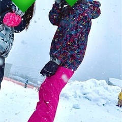 スキー スノボ ウェア 上下セットの画像