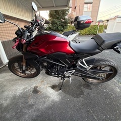CB250R ABS
の画像