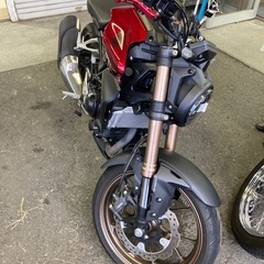 CB250R ABS
の画像