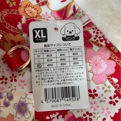 ワンちゃん　着物
の画像