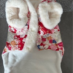 ワンちゃん　着物
の画像