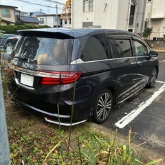 平成25年式　RC1  オデッセイ　アブソルートEXの画像