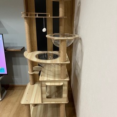 キャットタワーの画像