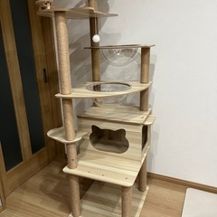 キャットタワーの画像