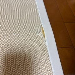 トゥルースリーパー　シングルサイズの画像