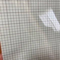 カメオ5　の画像