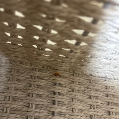 ニトリ　手編み風ペーパーバスケット  レギュラー グレーの画像