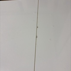 120-90✖️75 伸縮タイプのテーブルですの画像